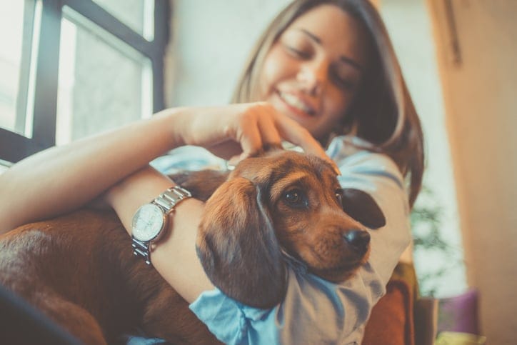 attractive young woman playing with puppy