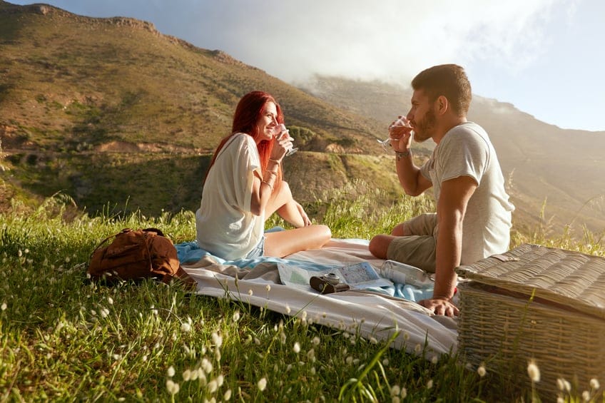 Young lovers drinking wine on a picnic