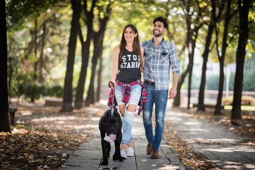 couple walking dog park romance
