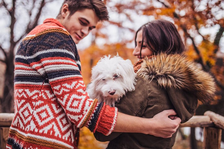 couple happy outdoors dog autumn