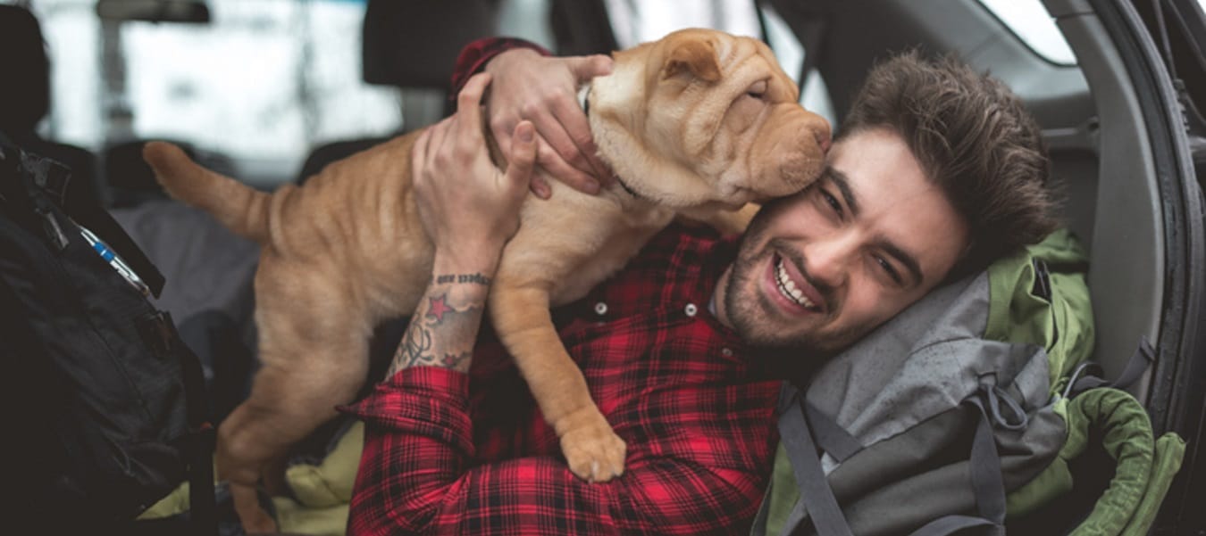 Things Were Going Great With My Boyfriend… Until He Introduced Me To His Dogs