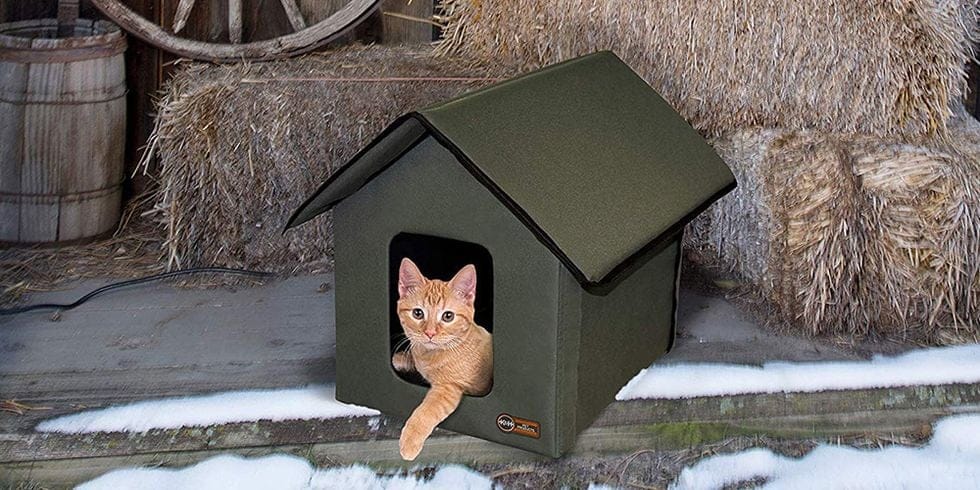 heated cat house