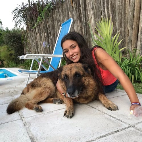 dog bite photoshoot
