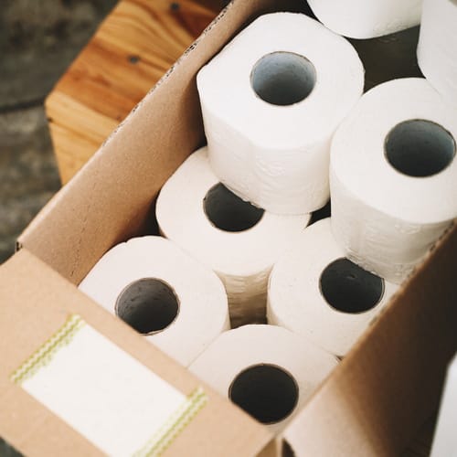 stolen toilet paper