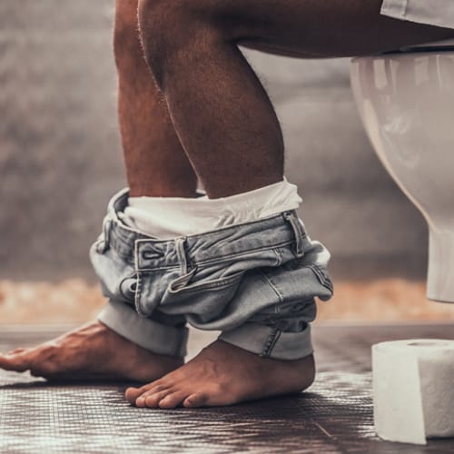 toilet phone