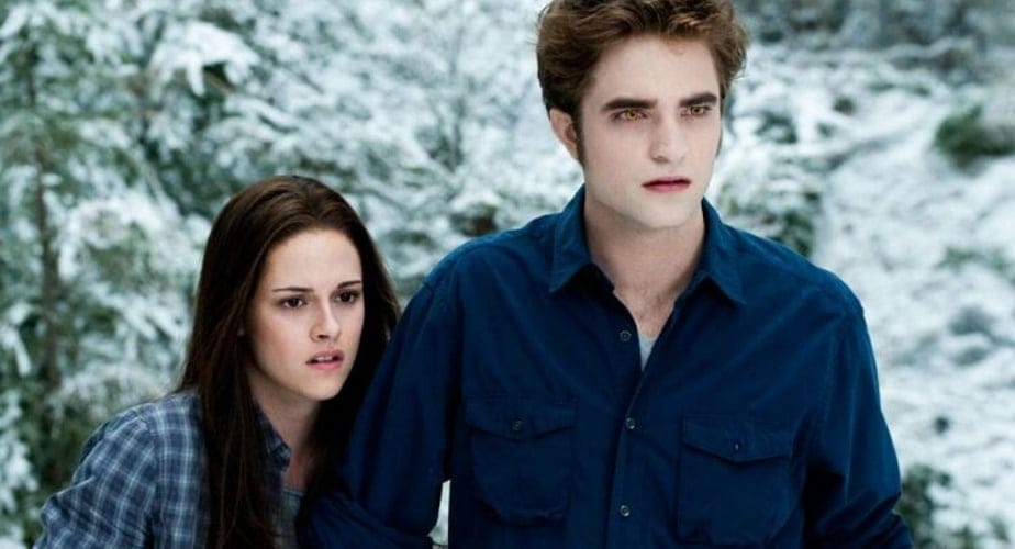 new twilight book