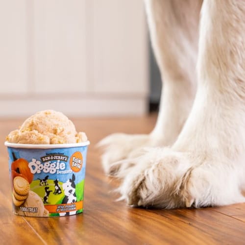 ben & jerry's dog ice cream