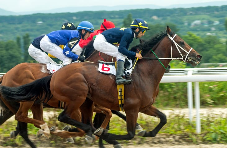 Jockeys and horses racing.