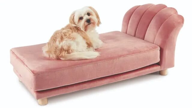 aldi scalloped pet beds