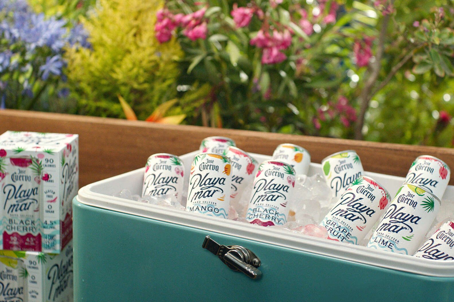 JOSÉ CUERVO hard seltzer