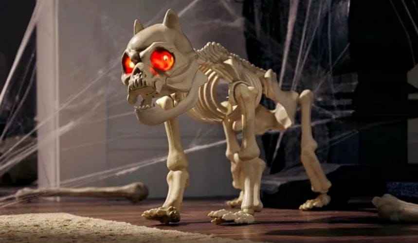 halloween skeleton dog