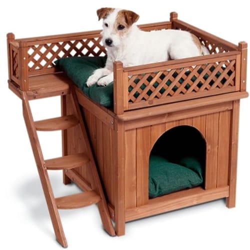dog loft bed