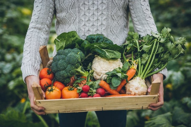 Vegans Are Apparently Upset By News That Plants Scream When ‘Dying’