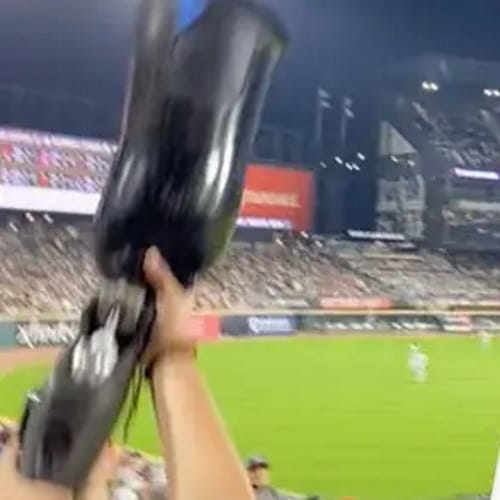 Woman Takes Off Prosthetic Leg To Catch Home Run Ball At Baseball Game