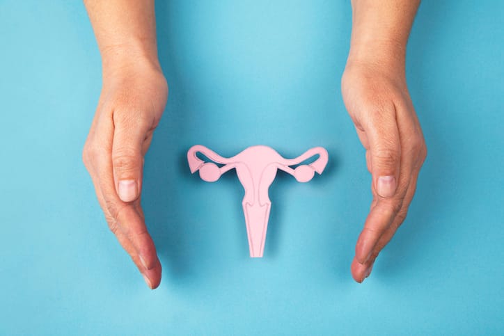 Female reproductive system and hands.