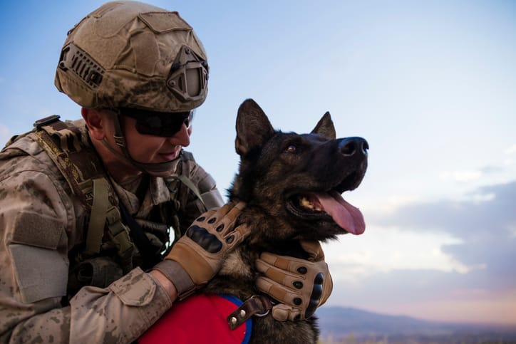 Army soldier loving his trained dog