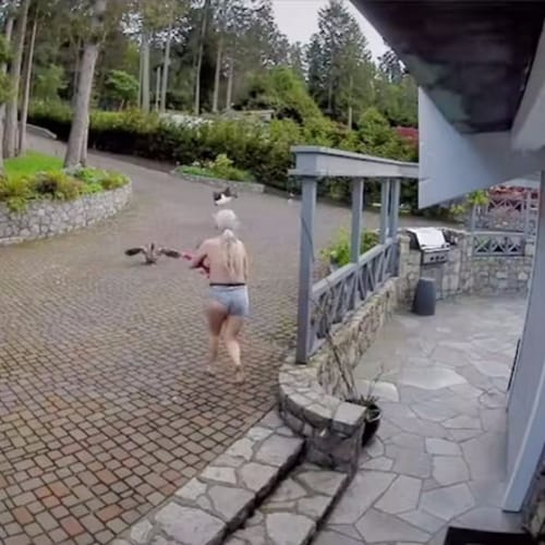 woman chasing eagle