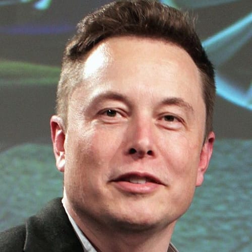 elon musk jeffrey epstein