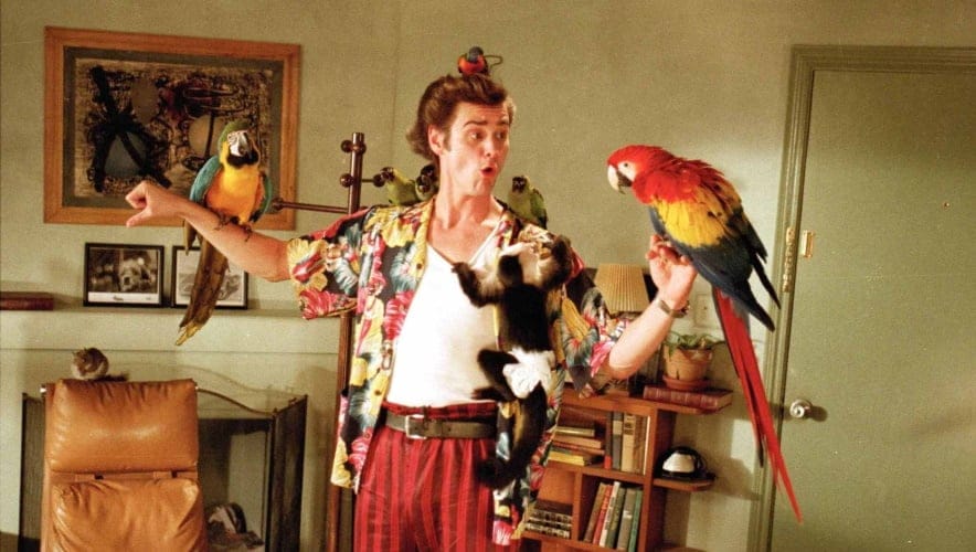 ace ventura