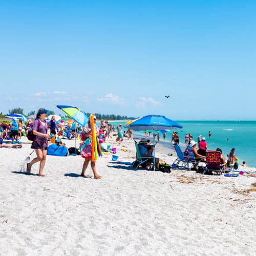 Woman Dies After Being Impaled In Chest By Beach Umbrella On Windy Day