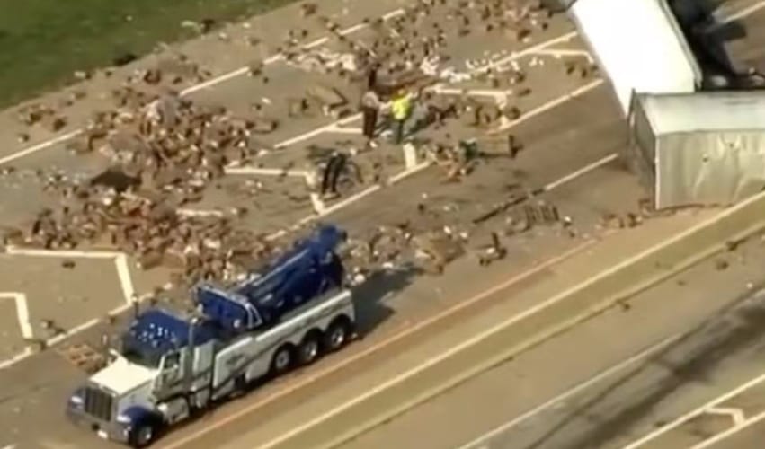 truck on highway