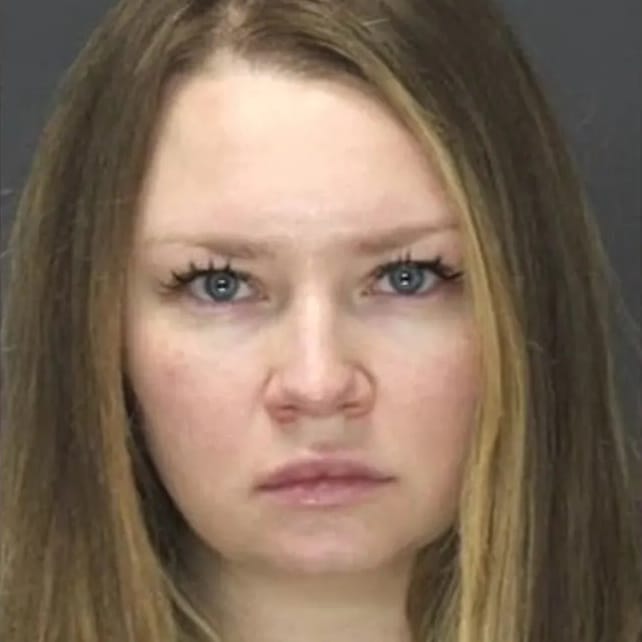 anna delvey lawyer mugshot