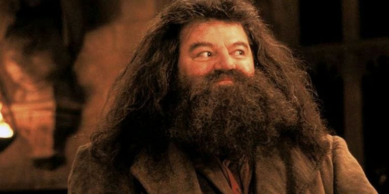 robbie coltrane harry potter