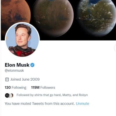 elon musk verified twitter account