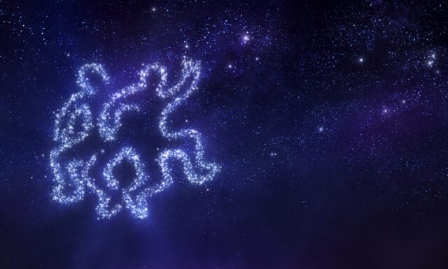 Gemini zodiac sign.