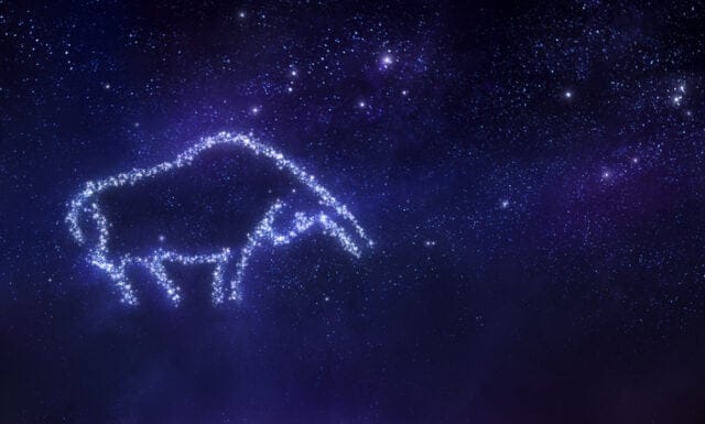 Taurus zodiac sign.