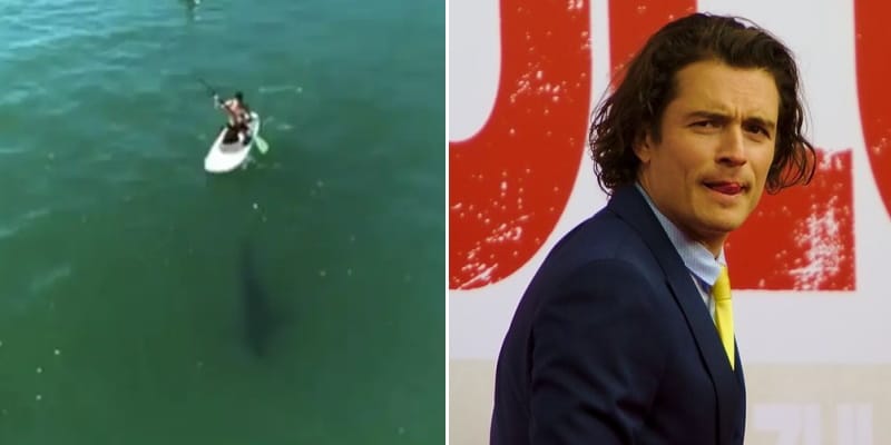 orlando bloom paddleboarding composite