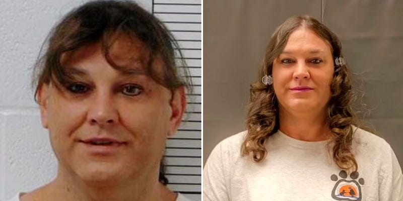 amber mclaughlin mugshot composite