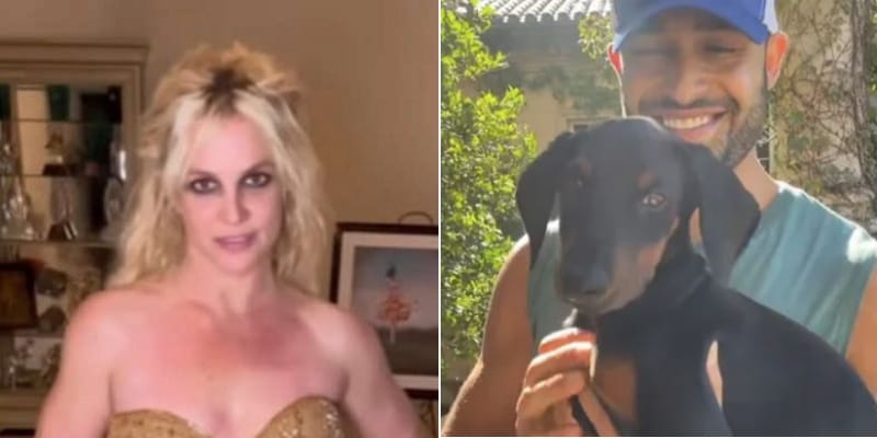 britney spears sam asghari dog