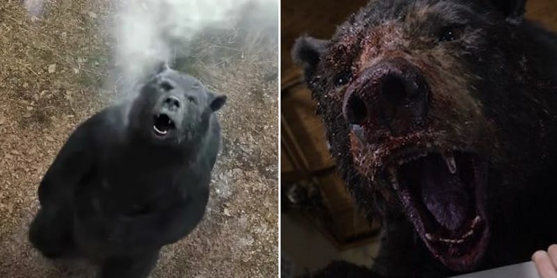 cocaine bear stills