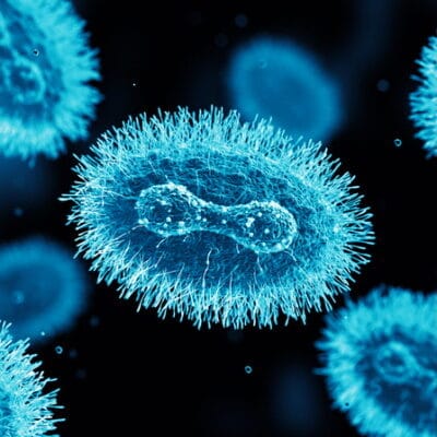Bacteria in a lab.