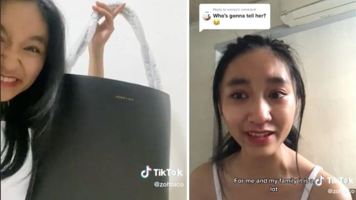 zoe gabriel purse tiktok