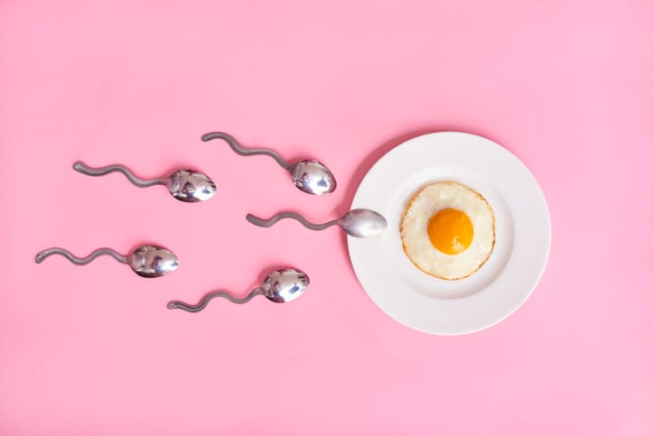 sperm and egg concept image