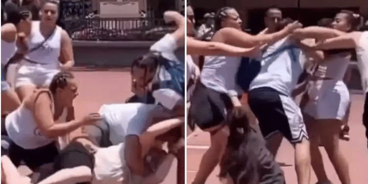 disney world family brawl