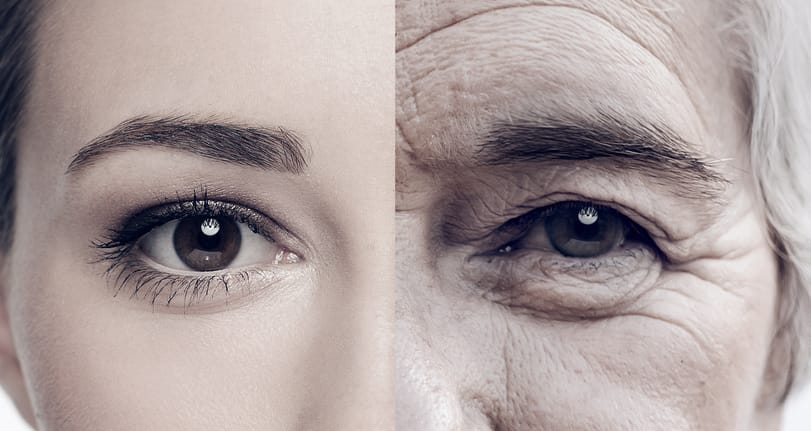 composite young woman old woman