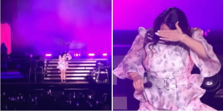 lana del rey looking for vape