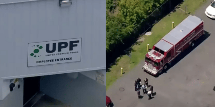 upf woman falls meat processor