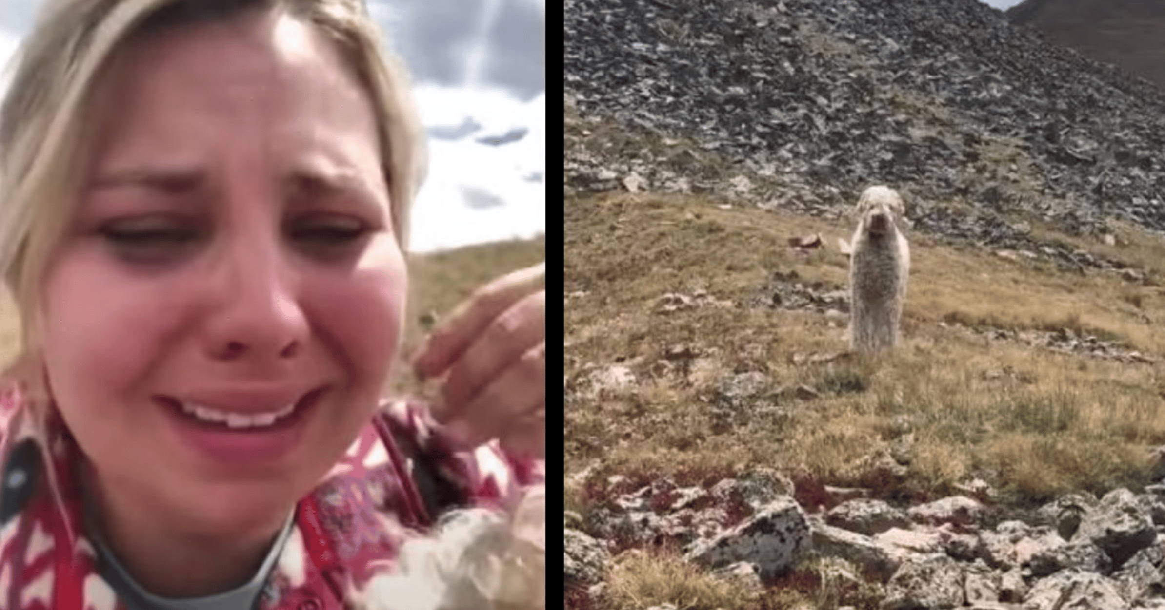 woman reunites with missing dog