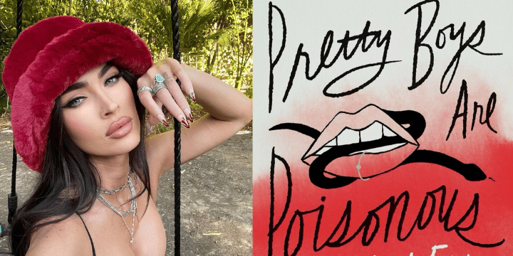 megan fox poetry book