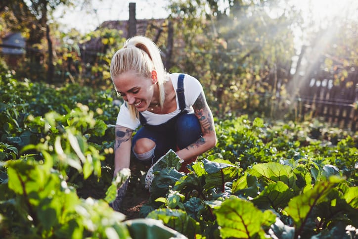 Woman tending her garden on a sunny day.