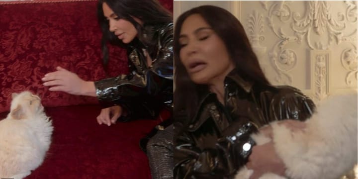 kim kardashian with choupette