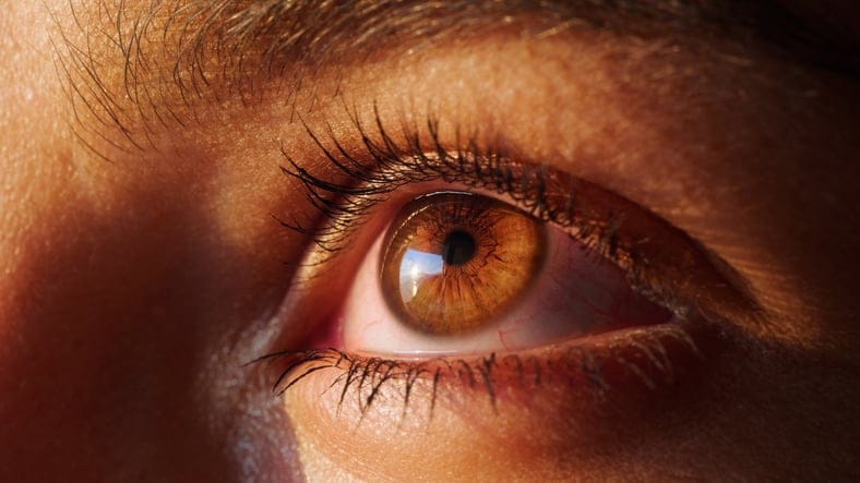 Female human eye details. Studio shot