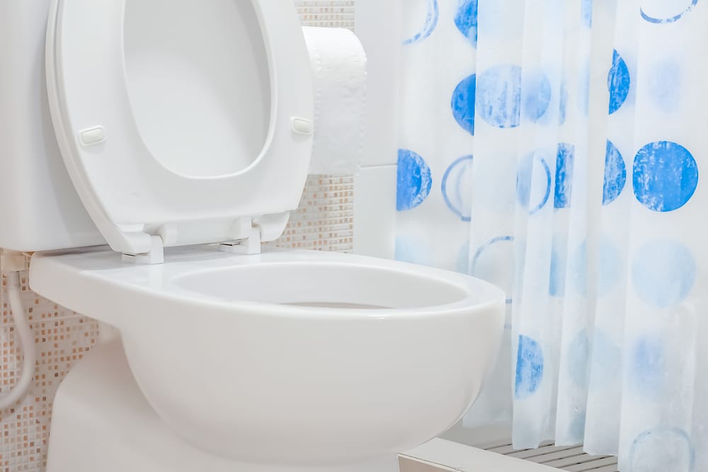Toilet in bathroom.