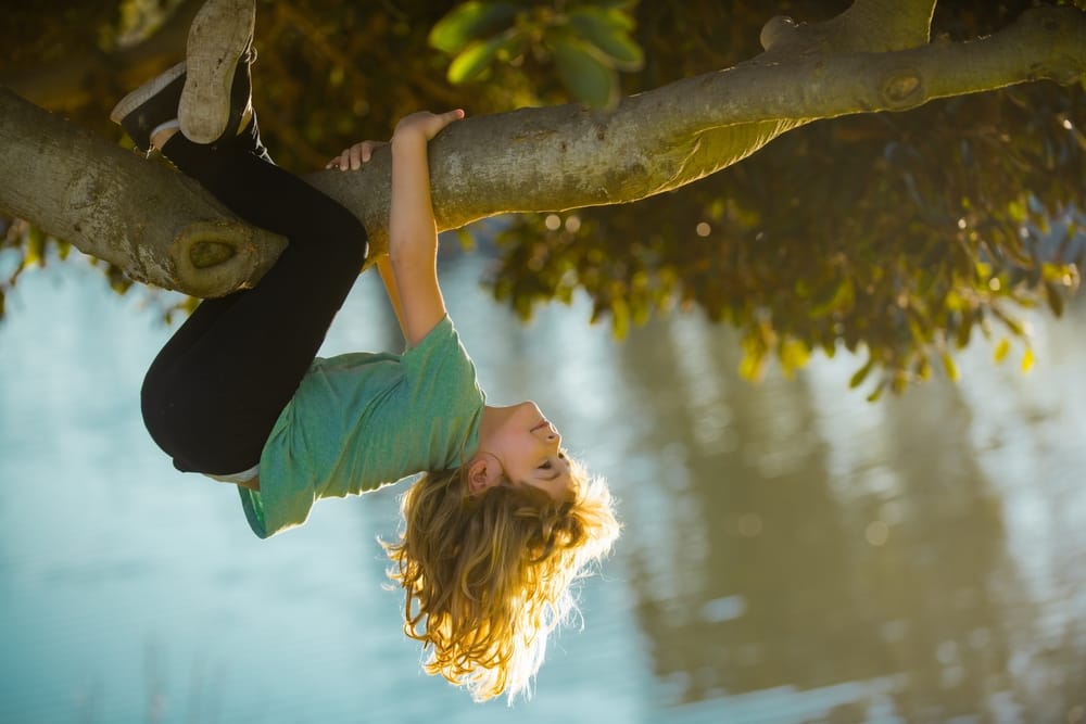 Child playing on a tree outside.