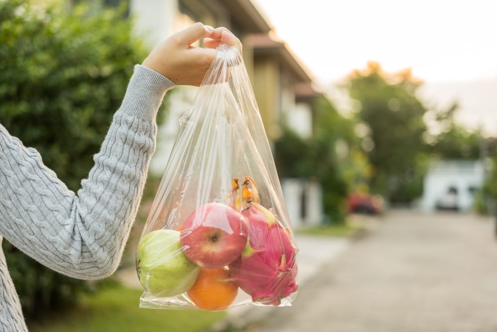 Woman carrying a bag of fruit.