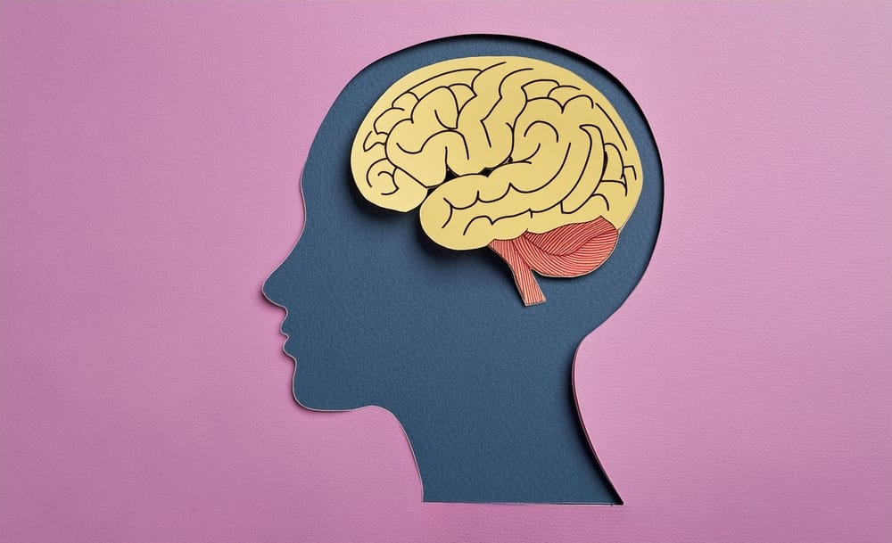 14 Key Differences Between Left-Brain and Right-Brain People—Which One Are You?